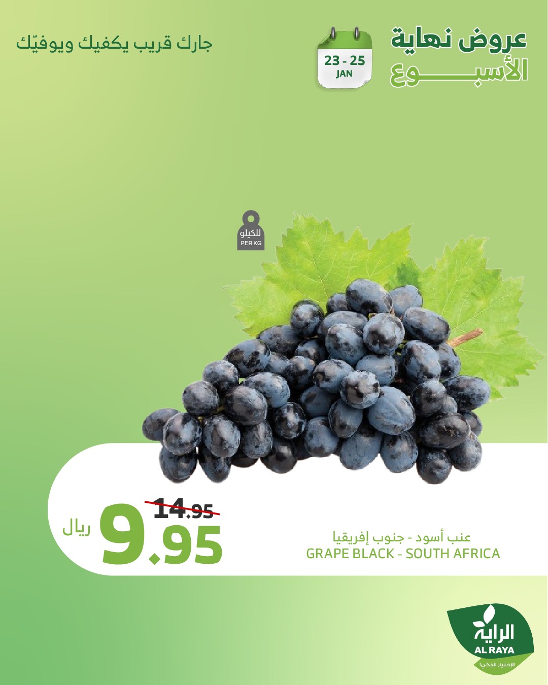 alraya offers from 1jan to 26jan 2025 عروض الراية من 1 يناير حتى 26 يناير 2025 صفحة رقم 15